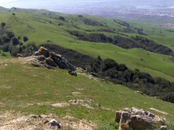 Picture 191
