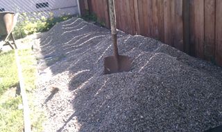 IMAG0341