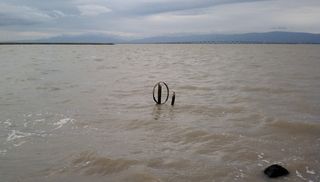 IMAG0151