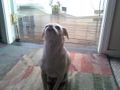 Downsized_0206091022[1]
