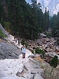 Mist trail steps