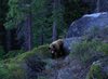 Picture_128