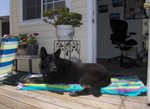 Picture_144
