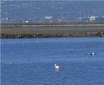 Picture_691