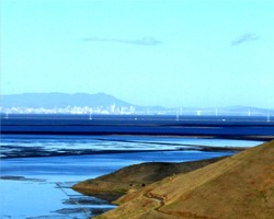 Picture_852_2