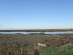 Picture_855