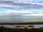 Picture_954