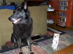 Picture_1094_2