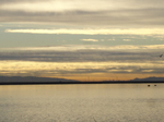 Dsc05728_1 Dsc05728_1
