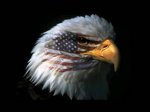 Eaglelogo_1
