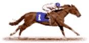Horse_2