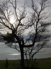 Picture_019