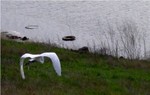 Picture_027a