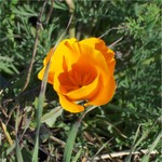 Picture_038a